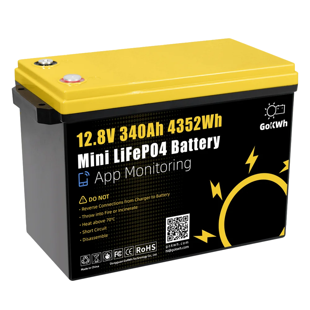 GoKWh Solar 12v 100ah Lifepo4 Battery Pack 24v 100ah 200ah 300ah Lithium Ion Battery Energy System for Camping Car RV Boat Ship