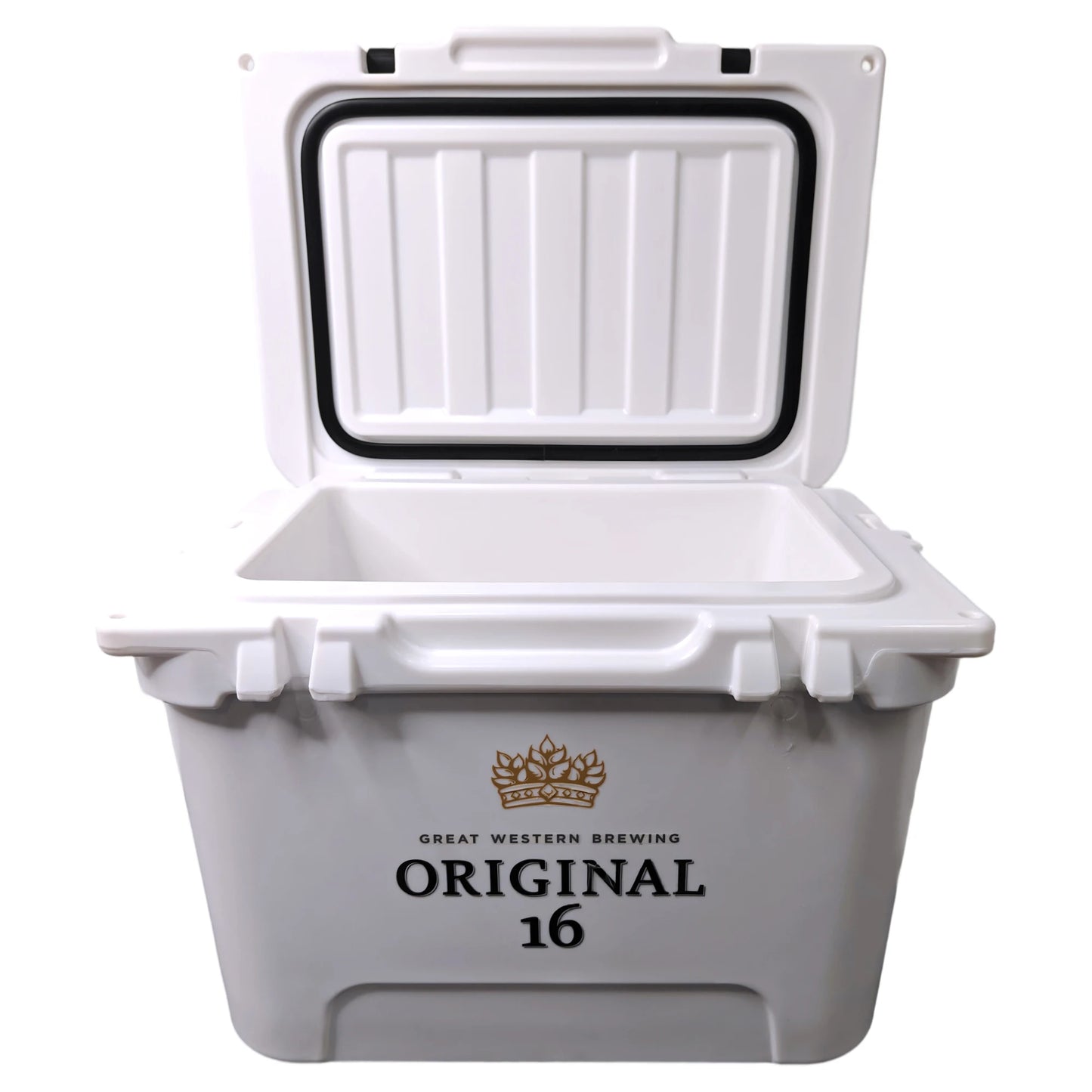 20 Liter Classic Plastic Rotational Molding Portable Cooler Box Travel Party Ceremony Camping Fishing Sports Medical Household