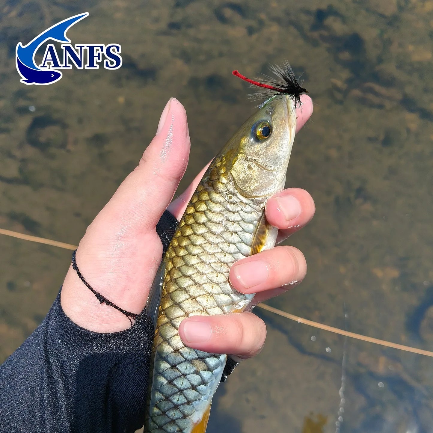 ANFS 4pcs Fly Fishing Flies with Storage Box ,Fly Fishing Lure Bait for Trout,Hand Made Fly Fishing Kit